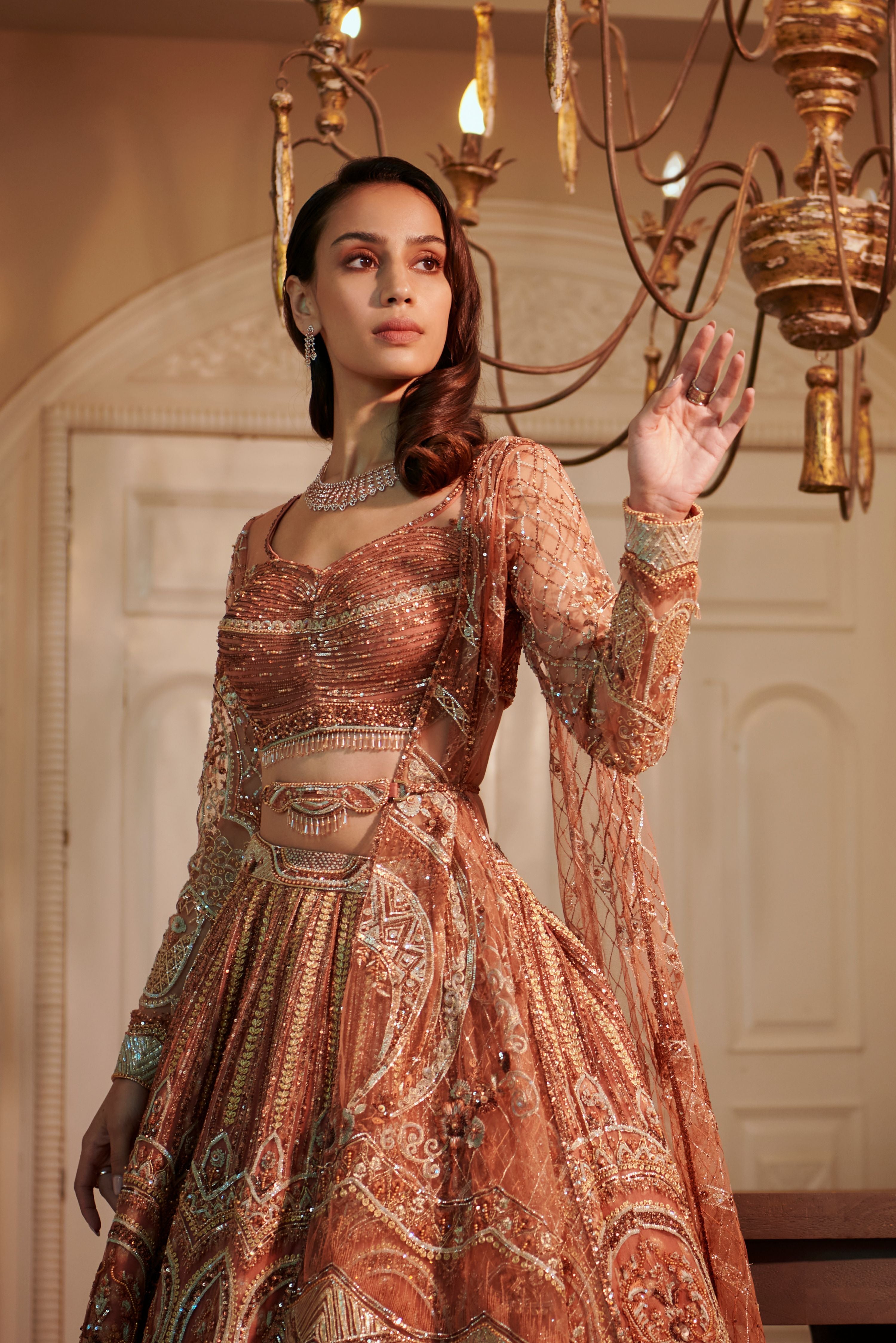 Rust Swan Lehenga