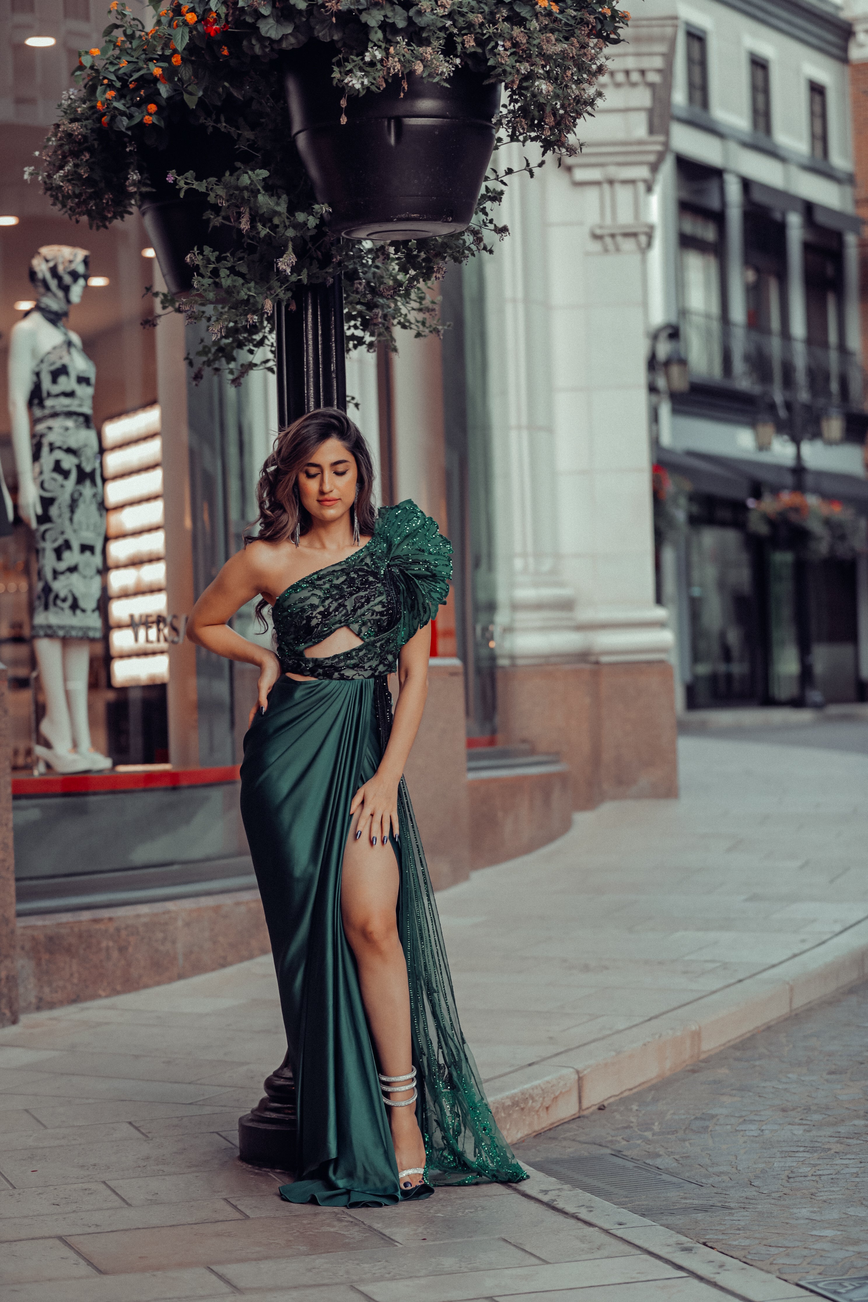 Glazed wings saree