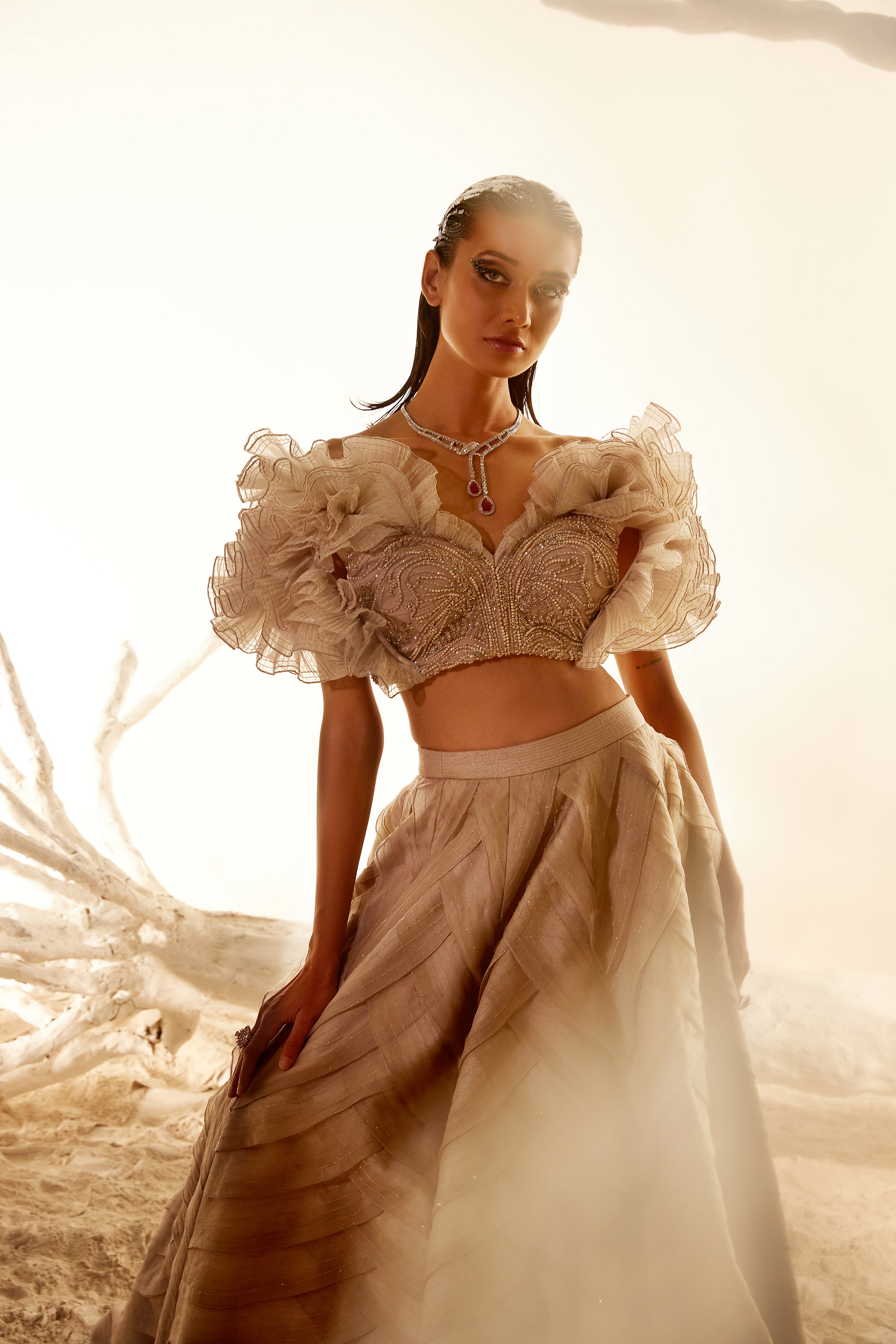 Crush Organza Ruffle blouse with Layered skirt