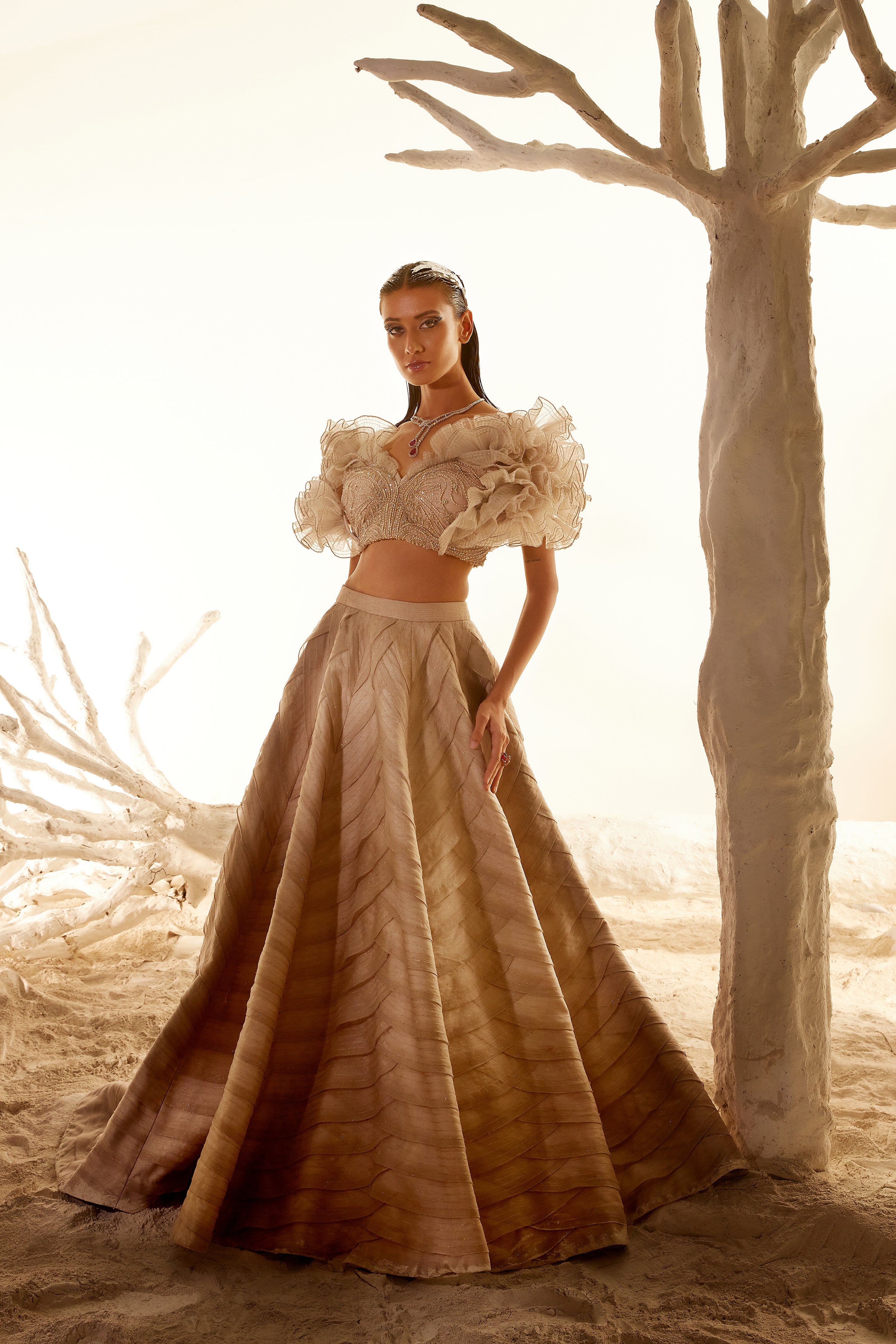 Crush Organza Ruffle blouse with Layered skirt