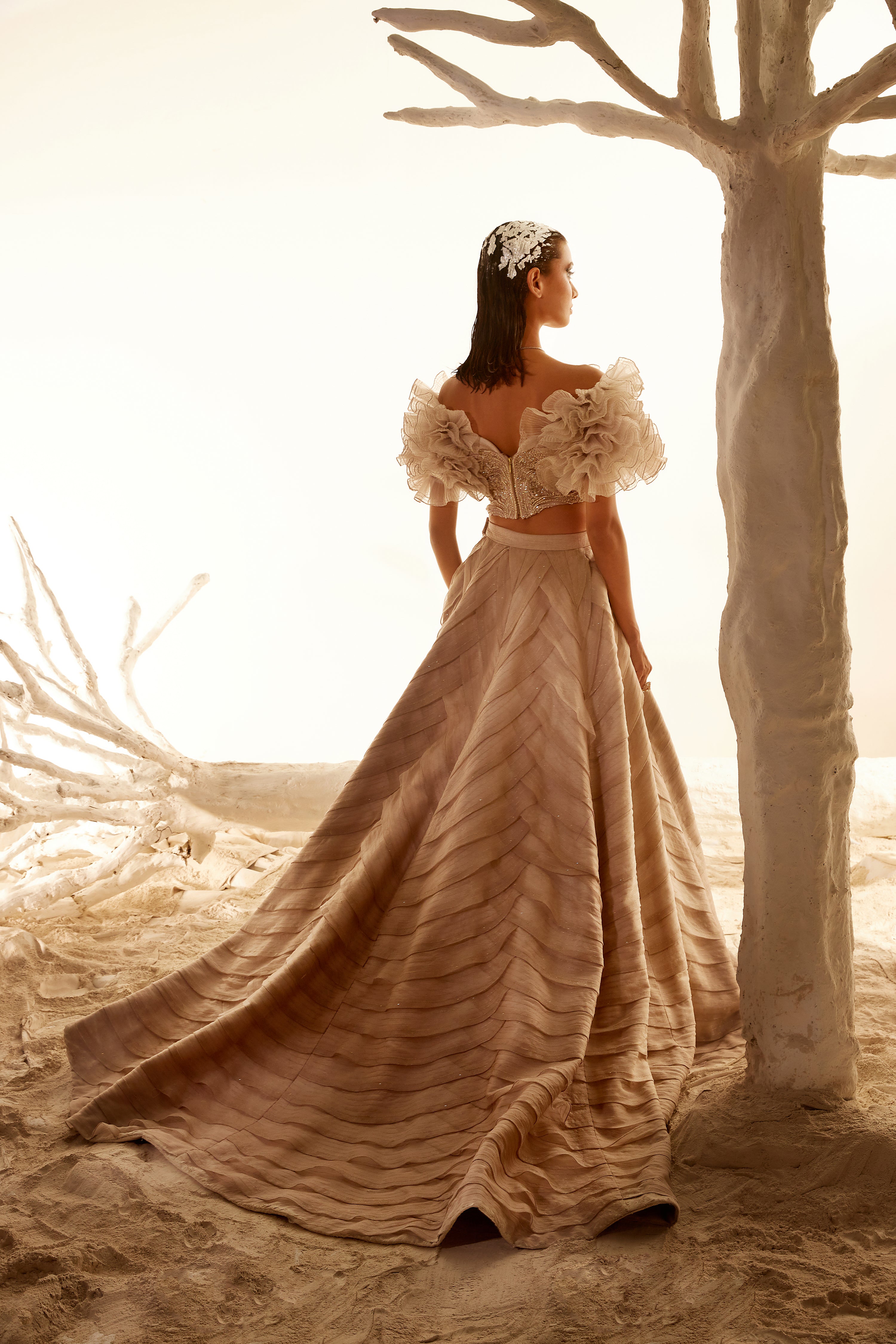 Crush Organza Ruffle blouse with Layered skirt