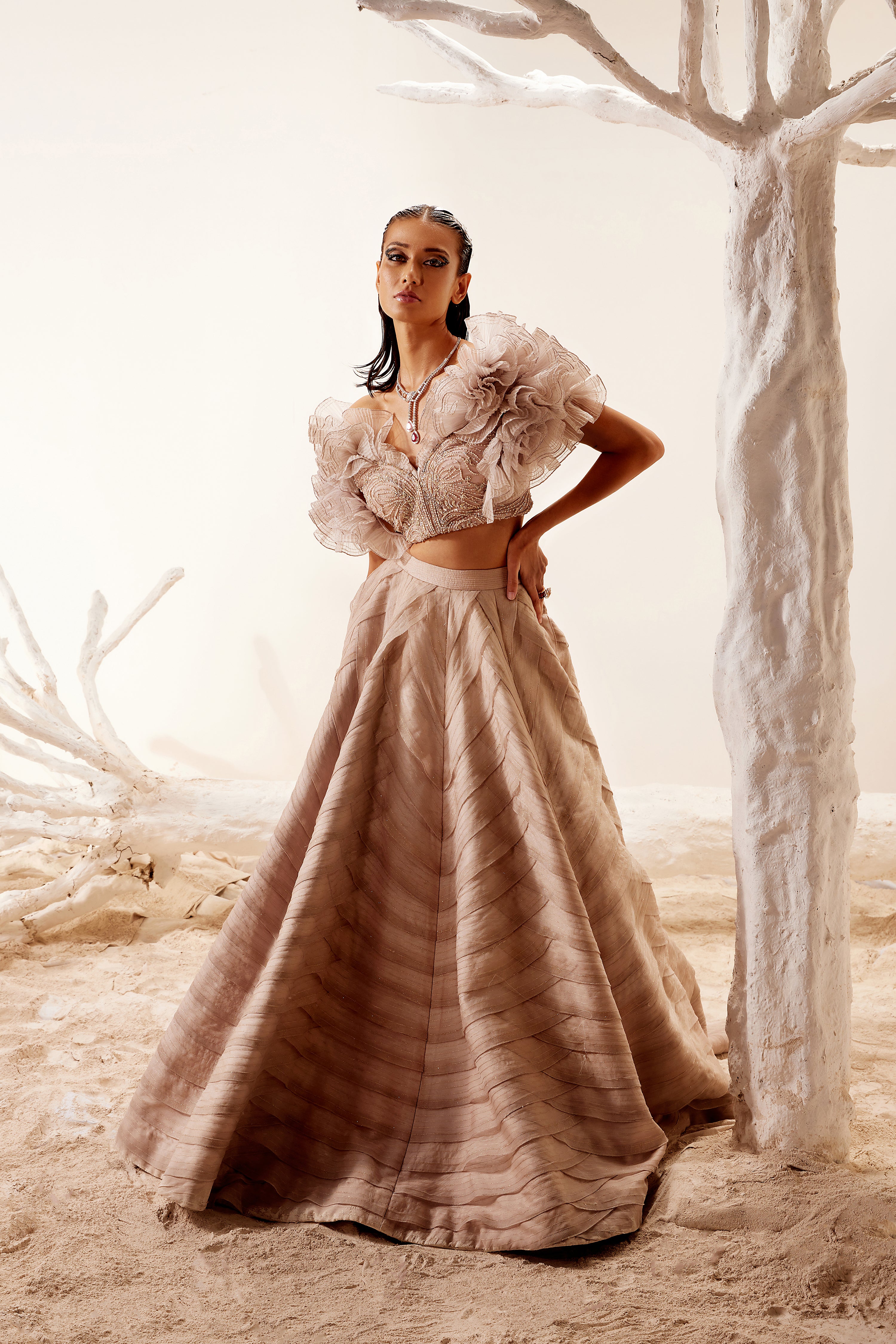 Crush Organza Ruffle blouse with Layered skirt