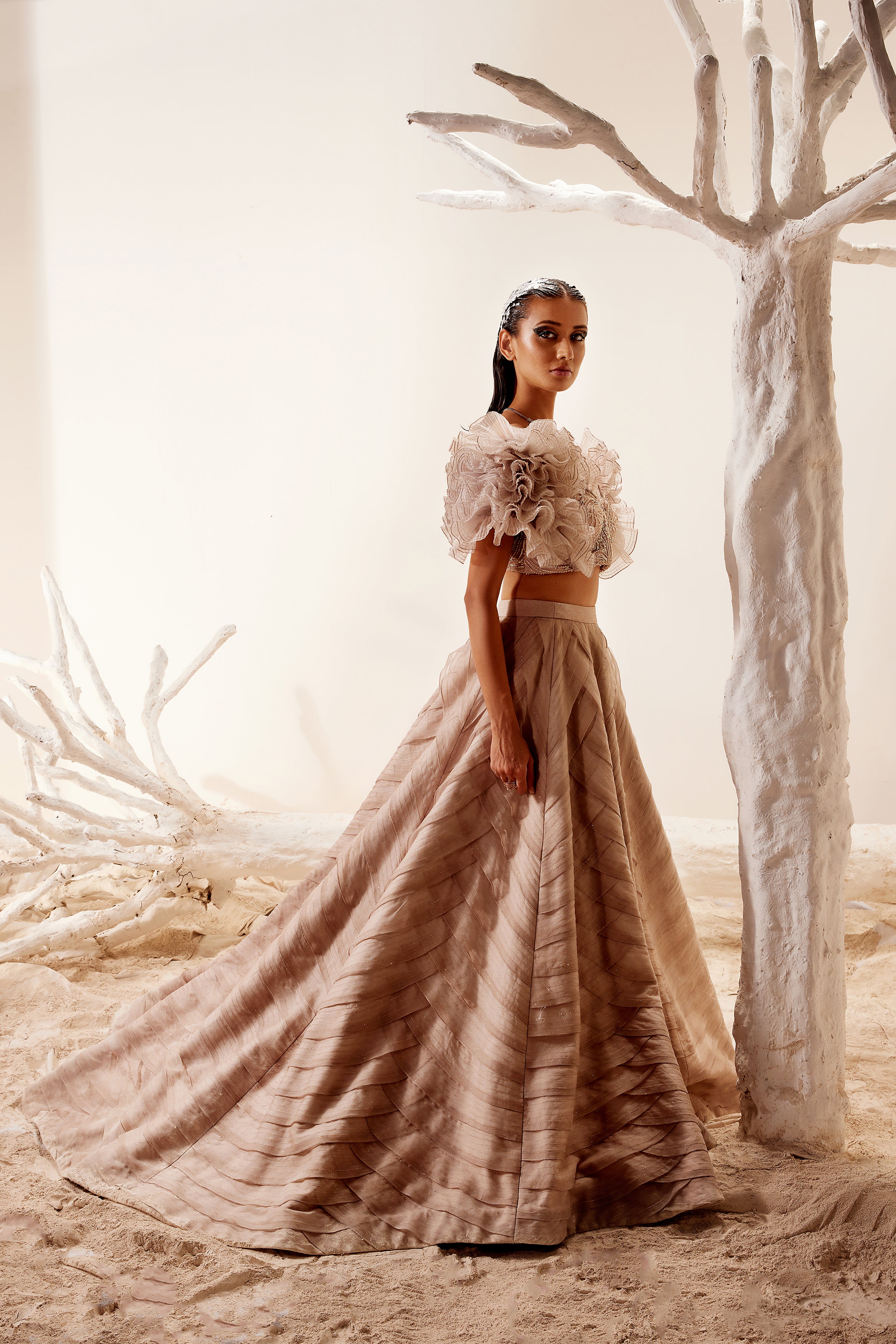 Crush Organza Ruffle blouse with Layered skirt